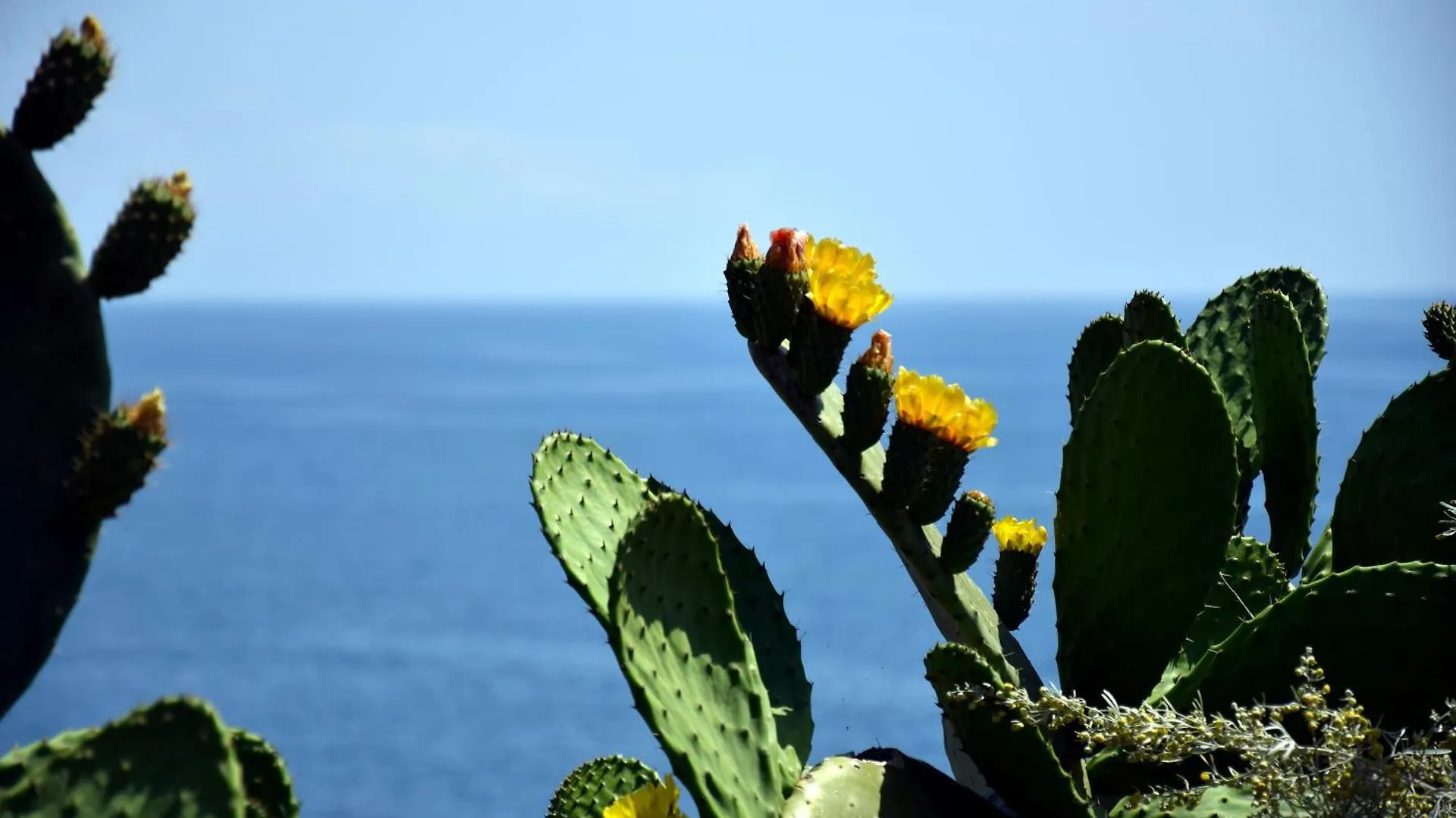 Incantevole Appartamento Sul Mare Acireale 0*,  Italy
